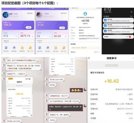 当天能收益的3个小项目拆解_包括平台+操作流程-风淘社
