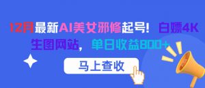 12月最新AI美女邪修起号！白嫖4K生图网站，单日收益8张+-风淘社