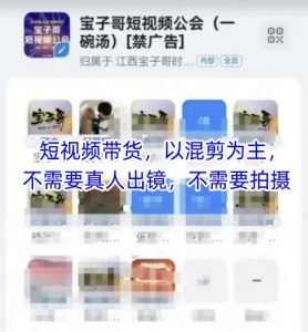 宝子哥头部团队短视频带货,以混剪为主,不需要真人出镜,不需要拍摄【更新11月】-风淘社