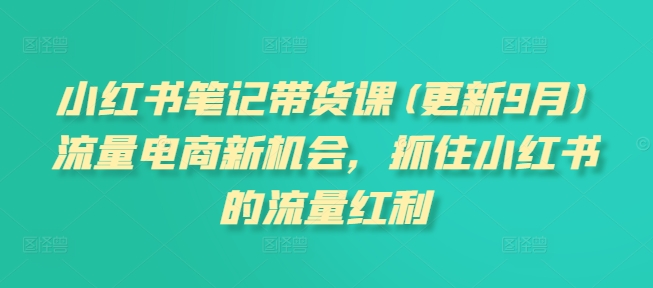 小红书笔记带货课(更新25年12月)流量电商新机会,抓住小红书的流量红利-风淘社