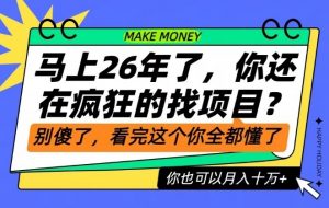 26年了,不要再疯狂的找项目了,看完这个你也可以月入十个W【揭秘】-风淘社