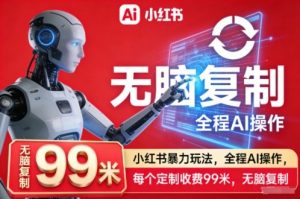 小红书暴力玩法，全程AI操作，每个定制收费99米，无脑复制-风淘社