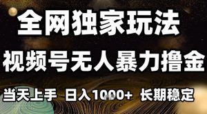 年底最新独家视频号无人直播撸礼物，小白也能轻松日入1k+，长期稳定，可批量复制【揭秘】-风淘社