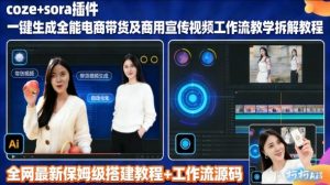 sora插件生成全能商用带货及宣传视频coze工作流拆解教程-风淘社