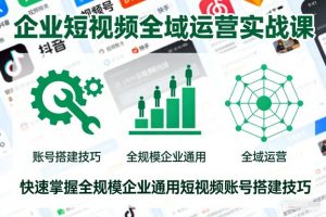 企业短视频全域运营实战课,快速掌握全规模企业通用短视频账号搭建技巧-风淘社