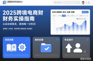 2025跨境电商财务实操指南,从后台到账本,算清每一分利润,系统讲解-案例实操-专业提升-风淘社