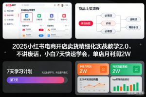 2025小红书电商开店卖货精细化实战教学2.0,不讲废话,小白7天快速学会,单店月利润2W-风淘社