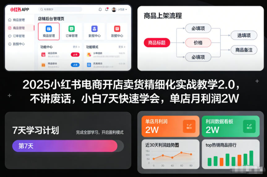 2025小红书电商开店卖货精细化实战教学2.0,不讲废话,小白7天快速学会,单店月利润2W-风淘社