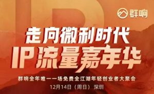 2025ip嘉年华万人12月14深圳线下课,走向微利时代,IP流量嘉年华,实操性极强的商业干货课-风淘社