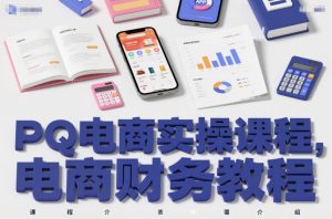 PQ电商实操课程,电商财务教程-风淘社