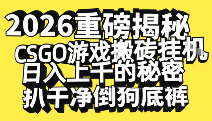 2026开年重磅解密，CSGO游戏搬砖挂G日入1k+的秘密，把倒狗的底裤扒干【揭秘】-风淘社