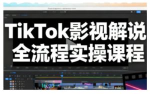 TikTok影视解说全流程实操,手把手教你打造TK爆款解说视频-风淘社