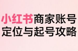 小红书电商全链路实战从定位到爆单,系统拆解小红书商家起号全流程(更新)-风淘社