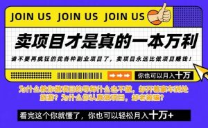 知识付费,你离月入10W只差一个开始!26年给自己一个机会,挖金子不如买铲子【揭秘】-风淘社