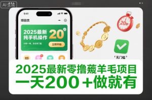 2025最新零撸薅羊毛项目，纯手机操作，20秒一单，无任何门槛，一天200+做就有【揭秘】-风淘社