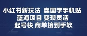 小红书新玩法，卖国学手机贴，蓝海项目，变现灵活，起号快，商单接到手软-风淘社
