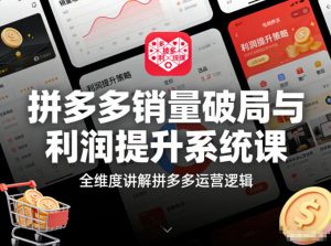 拼多多销量破局与利润提升系统课,全维度讲解拼多多运营逻辑-风淘社