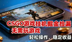 CSGO游戏挂G掘金捡漏,不需要玩游戏,操作简单,收益稳定【揭秘】-风淘社