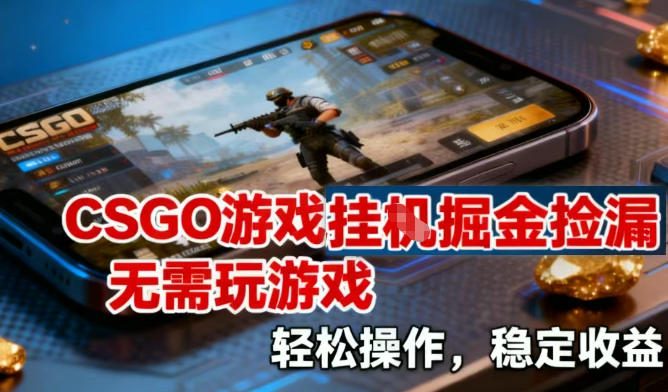 CSGO游戏挂G掘金捡漏,不需要玩游戏,操作简单,收益稳定【揭秘】-风淘社
