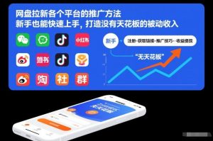 网盘拉新各个平台的推广方法,新手也能快速上手,打造没有天花板的被动收入-风淘社