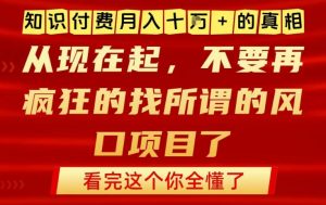 知识付费月入10个W的真相，做网创项目这一个就够了，不要再疯狂的找所谓的风口项目【揭秘】-风淘社