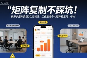 矩阵复制不踩坑!拼多多虚拟类目2025玩法,工作室或者个人矩阵稳定月1-5W【揭秘】-风淘社