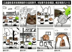 卤蛋哈基米短视频制作全流程教学，条条爆款，疯狂吸粉几十万-风淘社