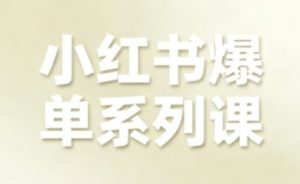 小红书爆单系列课,聚焦小红书电商全链路增长(更新)-风淘社