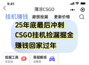 12月年底抓紧最后一个月,用CSGO游戏挂G捡漏掘金賺钱掘金,一部手机轻松日入5张+【揭秘】-风淘社