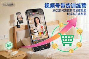 视频号带货训练营,从0到1打造你的带货变现路,低成本在家创业-风淘社