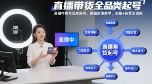 直播带货全品类起号,逻辑思维教学,主播+运营全流程-风淘社