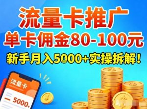 流量卡推广，单卡佣金80-100，新手月入5k+实操拆解！-风淘社