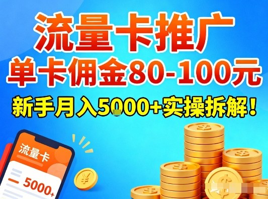 流量卡推广,单卡佣金80-100,新手月入5k+实操拆解!-风淘社