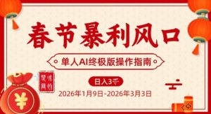 春节暴利风口项目,单人AI落地翻身终极版实操-风淘社