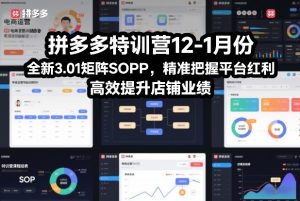 拼多多特训营12-1月份，全新3.01矩阵Sop，精准把握平台红利，高效提升店铺业绩-风淘社
