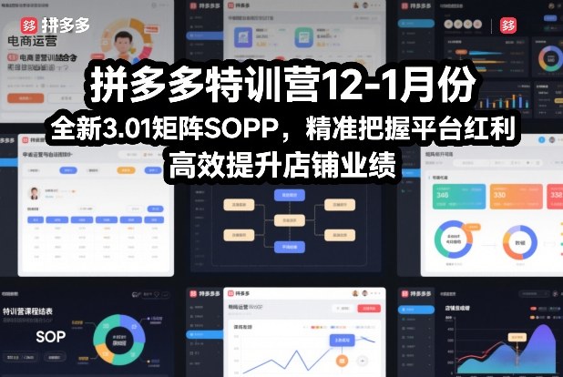 拼多多特训营12-1月份，全新3.01矩阵Sop，精准把握平台红利，高效提升店铺业绩-风淘社