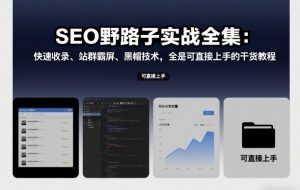 SEO野路子实战全集：快速收录、站群霸屏、黑帽技术，全是可直接上手的干货教程-风淘社