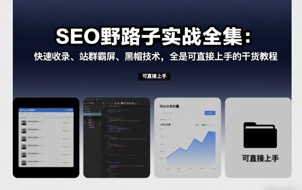 SEO野路子实战全集：快速收录、站群霸屏、黑帽技术，全是可直接上手的干货教程-风淘社