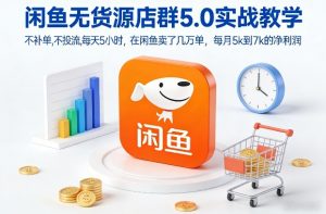 闲鱼无货源店群5.0实战教学,不补单,不投流,每天5小时,在闲鱼卖了几万单,每月5k到7k的净利润-风淘社