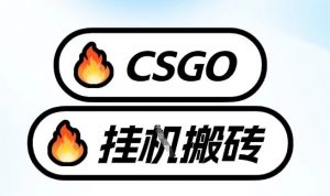 真全网独家CSGO挂G，最新玩法,单日捡漏1K+，不用电脑，不用打游戏【揭秘】-风淘社