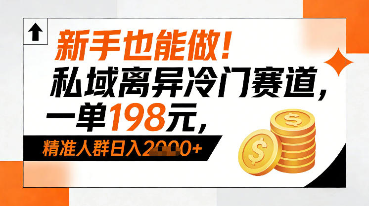 新手也能做!私域离异冷门赛道,一单198,精准人群日入1k+-风淘社
