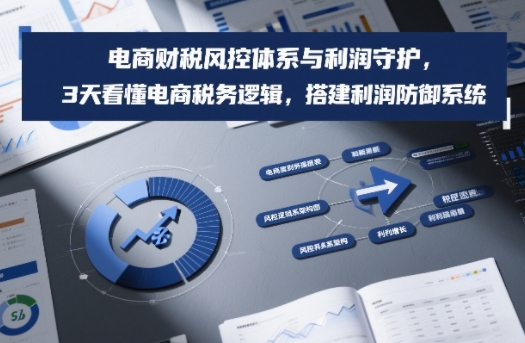 电商财税风控体系与利润守护,3天看懂电商税务逻辑,搭建利润防御系统-风淘社