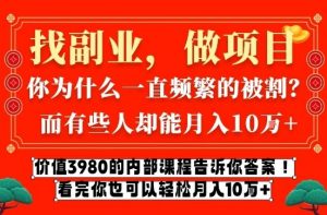 价值3980的网创内部课程,告诉你互联网创业月入10个W的秘密【揭秘】-风淘社