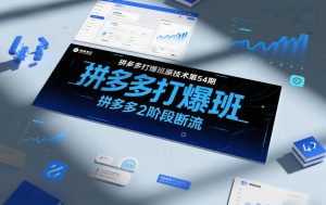拼多多打爆班原创技术第54期,拼多多2阶段断流-风淘社