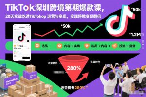 TikTok深圳跨境第2期爆款课，20天实战吃透TikTok Shop运营与变现，实现跨境变现翻倍-风淘社