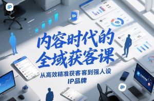 内容时代的全域获客课,从高效精准获客到强人设IP品牌-风淘社