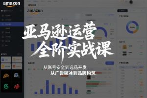 亚马逊运营全阶实战课,从账号安全到选品开发,从广告破冰到品牌构筑(更新2026)-风淘社
