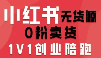 小红书无货源0粉电商课,开店准备、选品策略、笔记撰写、视频剪辑、数据分析、账号打造、资料文档(更新)-风淘社