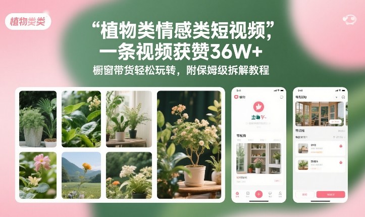 植物类情感类短视频，一条视频获赞36W+，橱窗带货轻松玩转，附保姆级拆解教程-风淘社