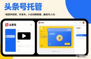 头条号AI托管,我提供视频,你发布,小白闭眼躺賺,最高月入5k+【揭秘】-风淘社